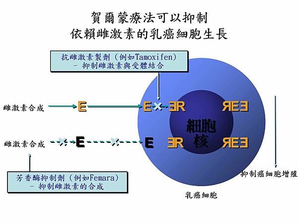 圖片46