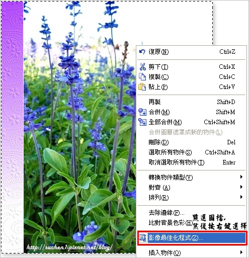 b12.jpg b12.jpg
