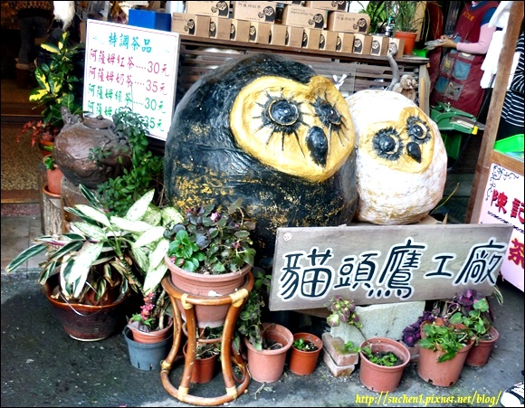 伊達邵_11 伊達邵_11