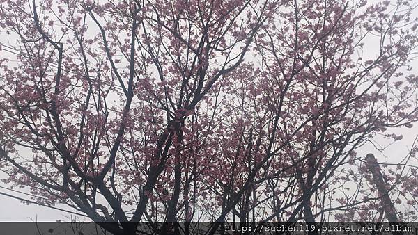 DSC_1536 DSC_1536