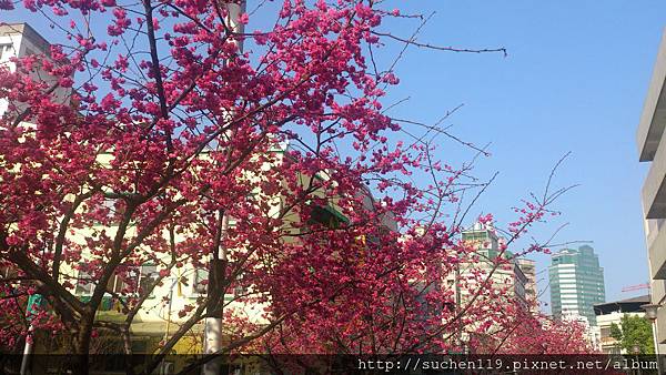 DSC_1795 DSC_1795