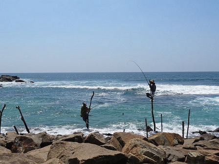 斯里蘭卡 斯里蘭卡