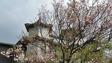 20170416_143729.jpg 20170416_143729.jpg