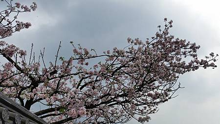 20170416_143927.jpg 20170416_143927.jpg