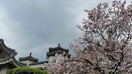 20170416_144156.jpg 20170416_144156.jpg