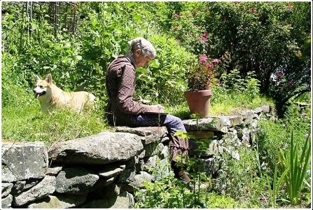 塔莎杜朵01.jpg 塔莎杜朵01.jpg