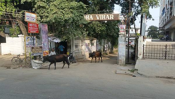 IMG_3980-1.jpg IMG_3980-1.jpg