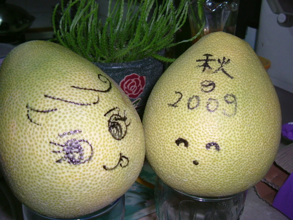2009-10-03 秋柚.JPG 2009-10-03 秋柚.JPG