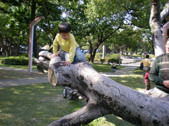 08.12.07 台中公園