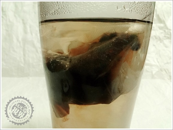 青仁黑豆水 (11).jpg 青仁黑豆水 (11).jpg