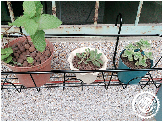 花槽架和發泡煉石 (13).jpg 花槽架和發泡煉石 (13).jpg