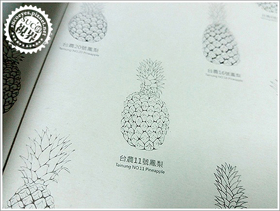 旺萊山鳳梨酥鳳梨醋 (6).jpg 旺萊山鳳梨酥鳳梨醋 (6).jpg