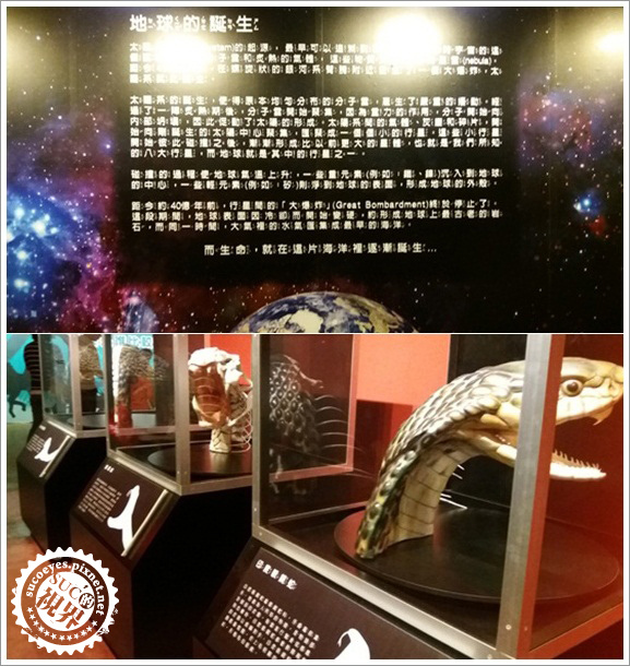 白堊紀恐龍展 (5).jpg 白堊紀恐龍展 (5).jpg