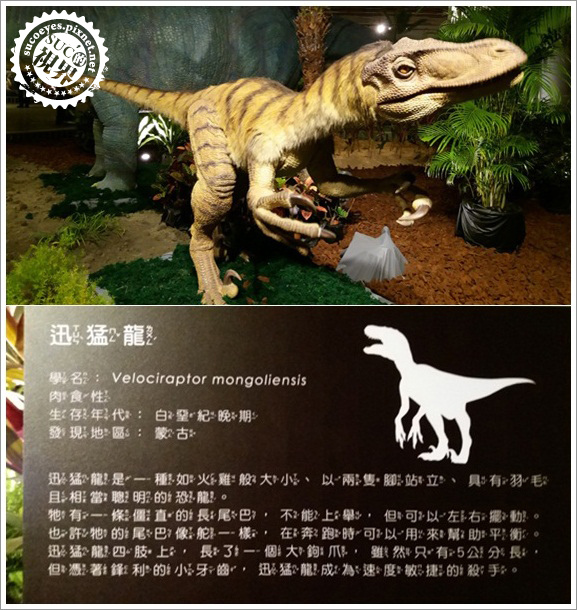 白堊紀恐龍展 (8).jpg