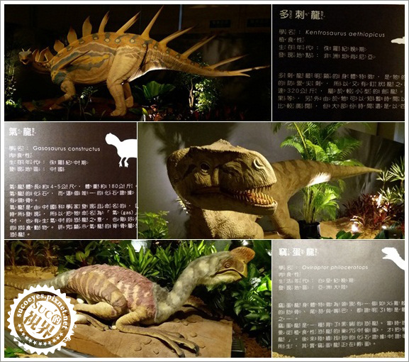 白堊紀恐龍展 (9).jpg