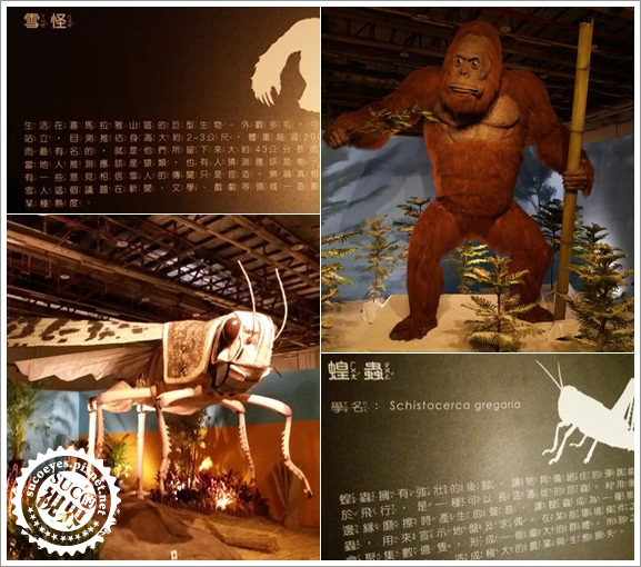 白堊紀恐龍展 (11).jpg 白堊紀恐龍展 (11).jpg