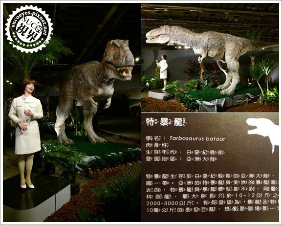 白堊紀恐龍展 (15).jpg 白堊紀恐龍展 (15).jpg