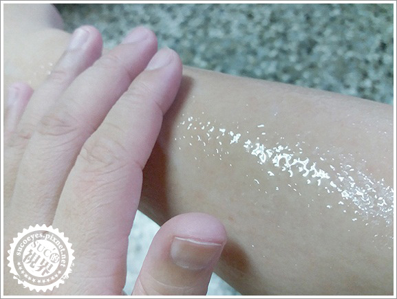 Dreamhound尋夢精靈經典系列 (10).jpg