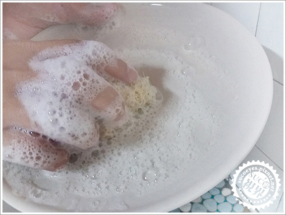 花仙子茶樹莊園洗碗精 (11).jpg