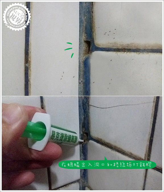 易克捷除蟑除蟻餌膠 (11).jpg 易克捷除蟑除蟻餌膠 (11).jpg