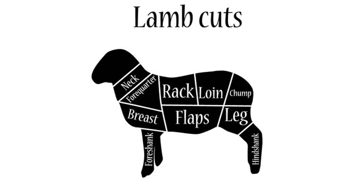 lamb.jpg