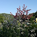 20150603_173059.jpg