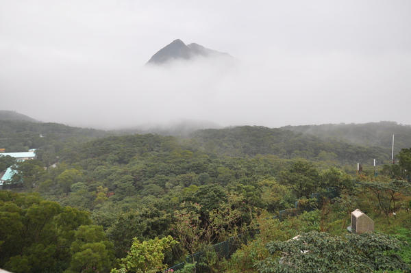 大嶼山