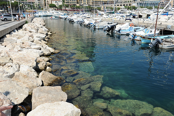 monaco 港口 monaco 港口