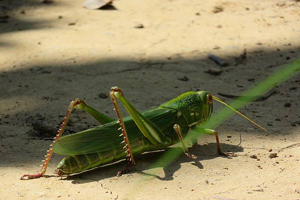 IMG_6926 IMG_6926