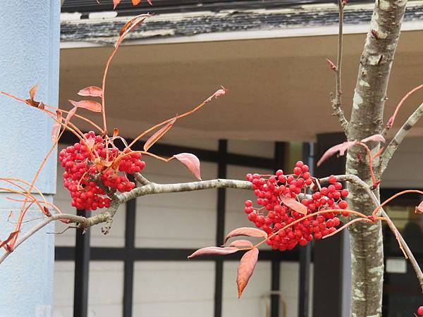 IMG_8340 IMG_8340