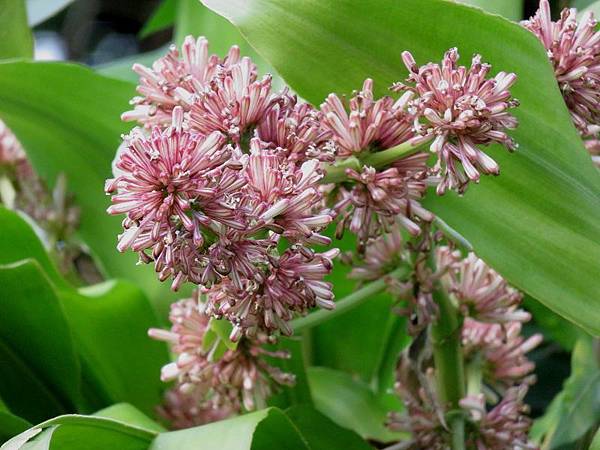 IMG_1250 IMG_1250