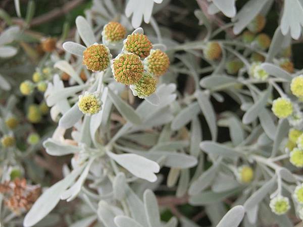 IMG_2559 IMG_2559