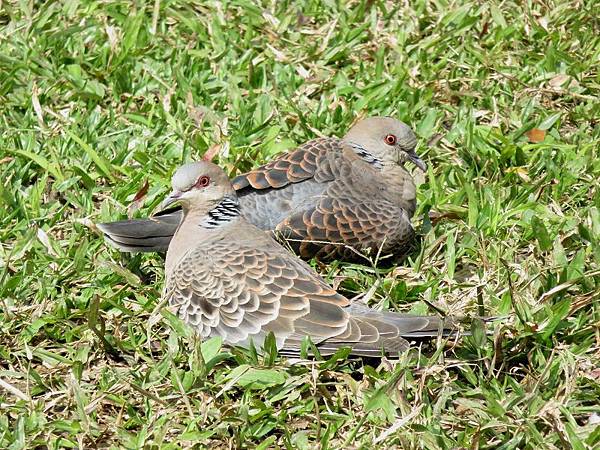 IMG_2643 IMG_2643