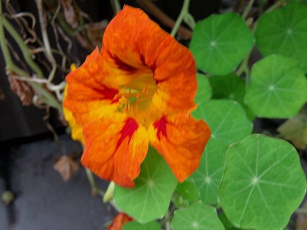 IMG_3806 IMG_3806