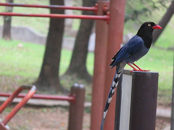 IMG_5781 IMG_5781