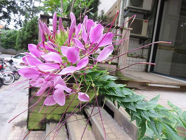 IMG_6507 IMG_6507