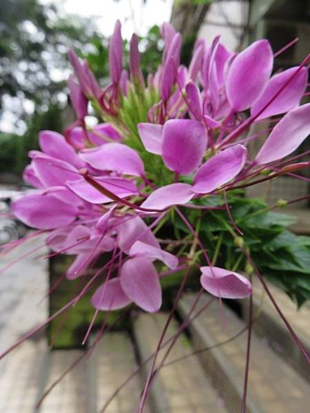 IMG_6508 IMG_6508
