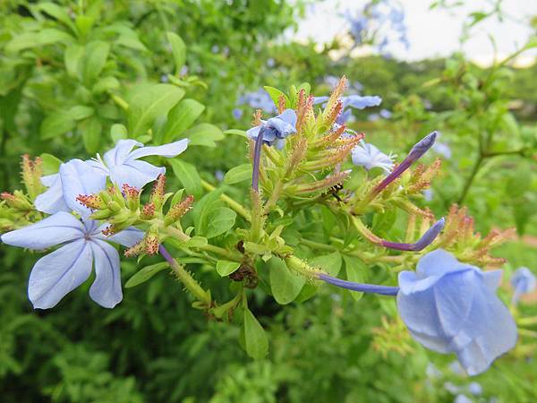 IMG_7690 IMG_7690