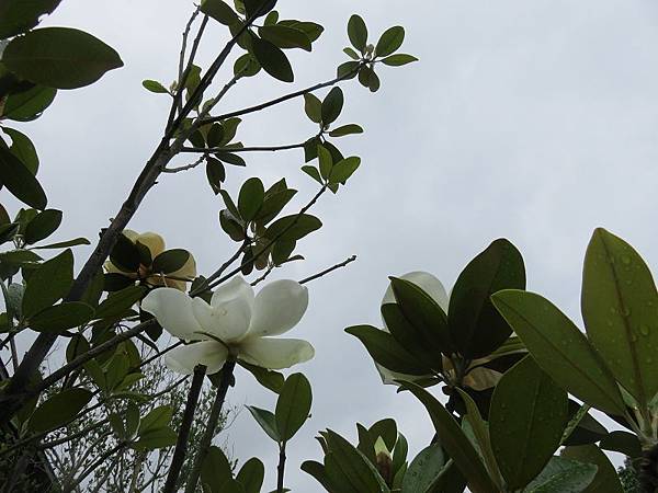 IMG_6795 IMG_6795