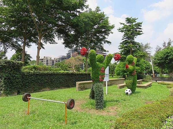 IMG_7937 IMG_7937