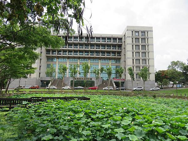 IMG_7594 IMG_7594