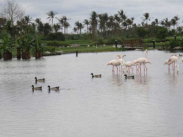 IMG_1442 IMG_1442