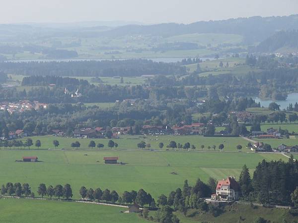 IMG_4250 IMG_4250