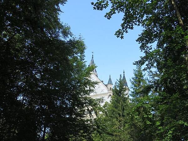 IMG_4213 IMG_4213
