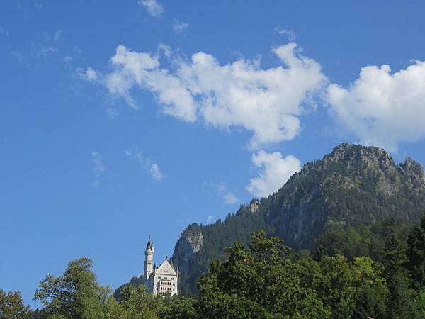 IMG_4153 IMG_4153