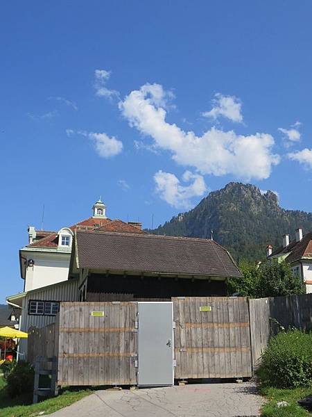 IMG_4141 IMG_4141