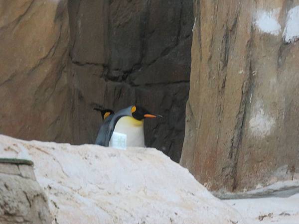 IMG_4444 IMG_4444