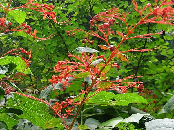 IMG_4070 IMG_4070