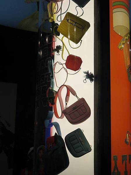 IMG_6987 IMG_6987