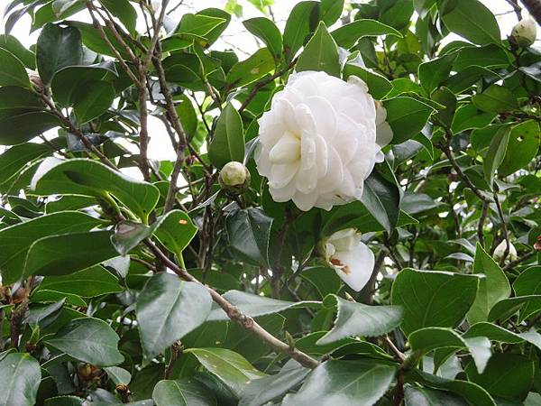 IMG_0174 IMG_0174
